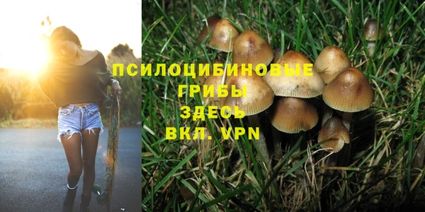 бутират Алексин
