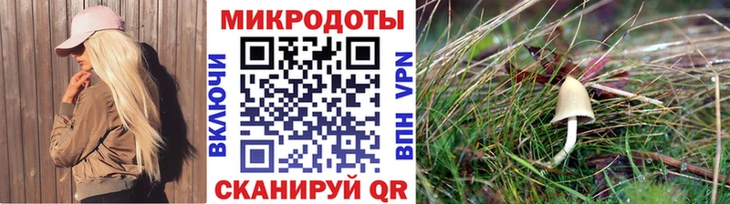 Галлюциногенные грибы прущие грибы Иланский